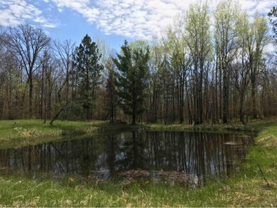 Small pine to attract wildlife