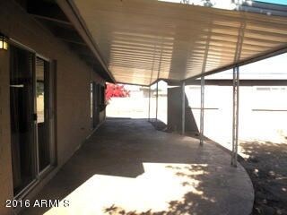 Backyard 2 (2316)