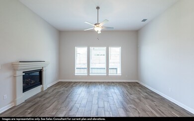 5901 Maddie Ann Dr, Celina, TX 75009 - photo 3