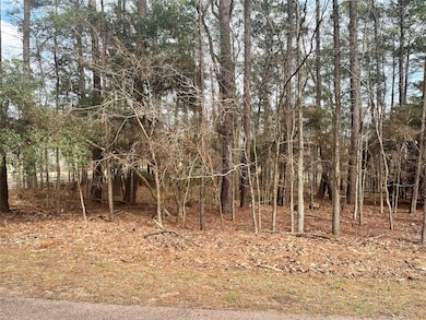 142 S Royale Greens Dr, Coldspring, TX 77331 - photo 7