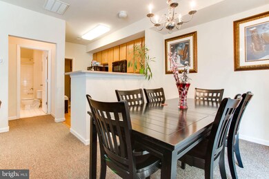 11110 Wortham Crest Cir unit 14, Manassas, VA 20109 - photo 4