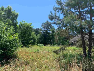 10881 Deer Creek Dr, Tyler, TX 75707 - photo 3