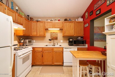 1046 N Hudson St SE, Lowell, MI 49331 - photo 5