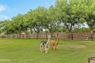 4298 Boy Scout Ln, El Paso, TX 79922 - photo 4
