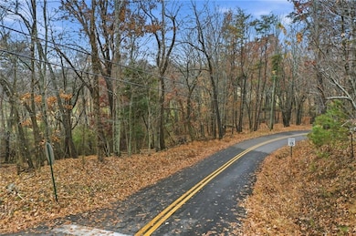 6.74 Bent Tree Dr, Jasper, GA 30143 - photo 7