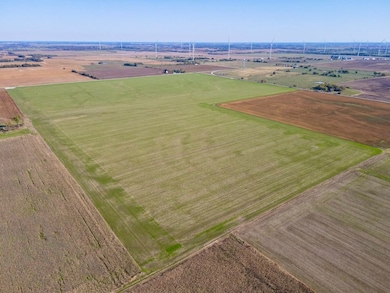 Baseline Blvd and Hwy 37, Golden City, MO 64748 - photo 2