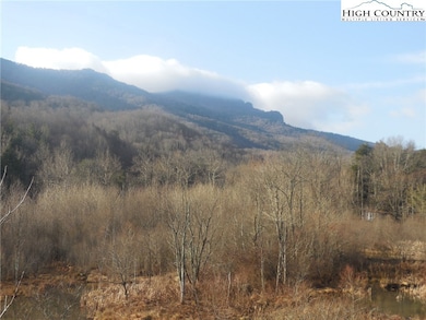 10545 Nc Highway 105 S Hwy, Banner Elk, NC 28604 - photo 6