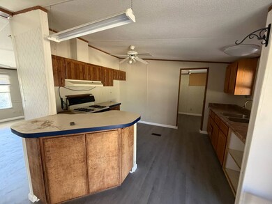 167 Dripping Springs St, Crofton, KY 42217 - photo 7