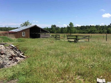 7230 Tracy Dr, Conway, SC 29526 - photo 6