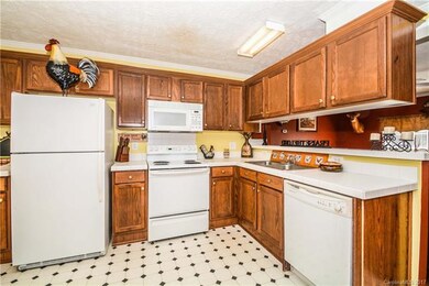 290 Low Bridge Rd, Iron Station, NC 28080 - photo 7