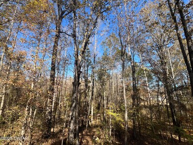 Lot 171 Indian Park 6