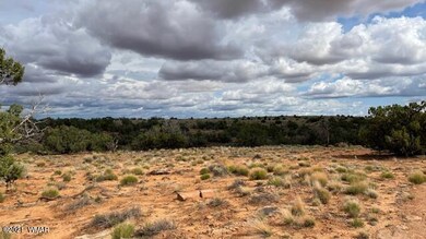 IMG_9872 (1)