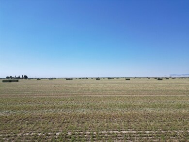 0 From Manning Ave unit .75 miles along E. s, San Joaquin, CA 93660 - photo 7