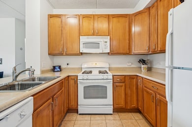 2335 W Belle Plaine Ave unit 211, Chicago, IL 60618 - photo 5