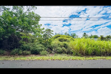 Approximate middle of lot 590 as viewed from Kala Street.