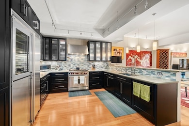 Wilkes Passage unit 330, Boston, MA 02118 - photo 6