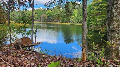 680 Nibert Rd unit (Ponds Poplar Ridge, Gallipolis, OH 45631 - photo 3