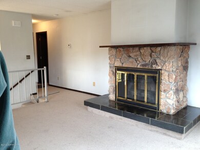 Living Room Fireplace