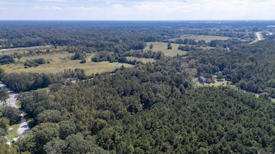 B-1-A Old Scenic Hwy, Zachary, LA 70791 - photo 7