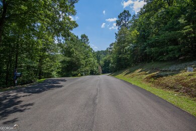 Lot 104 Mountain Creek Hollow Dr, Talking Rock, GA 30175 - photo 5