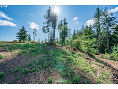 0 S Silver Lake Rd unit 1 23501672, Castle Rock, WA 98611 - photo 3