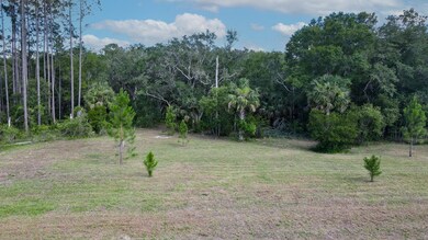 1351 Oak Pond Cir, Steinhatchee, FL 32359 - photo 5