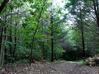 Rolling Meadows (5)
