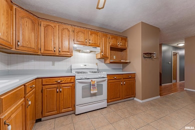 809 Tomahawk, Heyworth, IL 61745 - photo 7