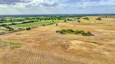 Lot 11 Pine Rd, Poolville, TX 76487 - photo 2