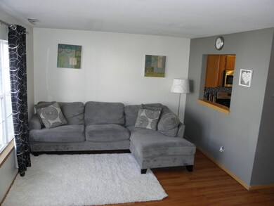 1911 Cherrywood Ct, Joliet, IL 60435 - photo 6