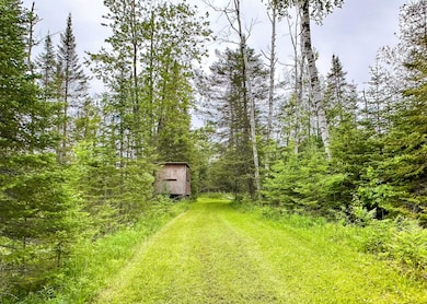 Piper Rd, Ossineke, MI 49766 - photo 5