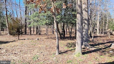 1001 NE Lakeshore Dr, Millville, NJ 08332 - photo 6