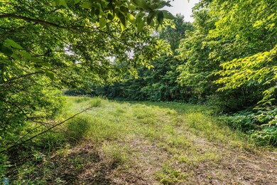 Lot 6 W Point Trail, Amor Township, MN 56515 - photo 4