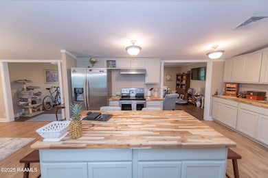 178 El Shaddai Rd, Opelousas, LA 70570 - photo 6