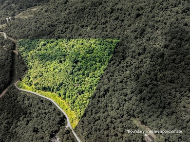 0000 Nc 6277, Jasper, AR 72641 - photo 5