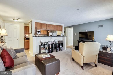 6310 Bayberry Ct unit 1006, Elkridge, MD 21075 - photo 7