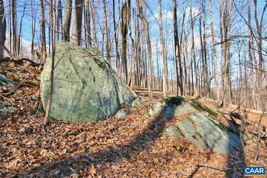 845 Crawfords Climb, Nellysford, VA 22958 - photo 7