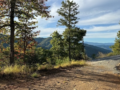 406 Cardinal Bluff Rd, Whittier, NC 28789 - photo 3