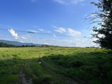 0 Old State Highway 28 unit RTC2929823, Pikeville, TN 37367 - photo 2