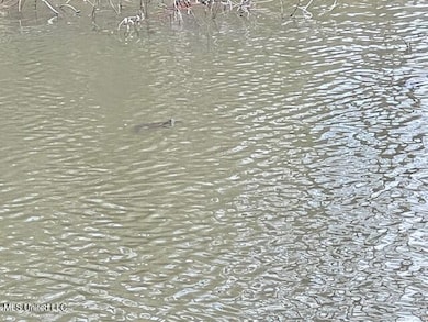 0 Old Orchard Rd unit 4102935, Madison, MS 39110 - photo 5