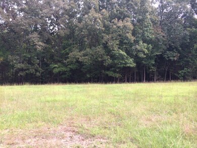 151 Fox Trail Run, Oxford, MS 38655 - photo 2