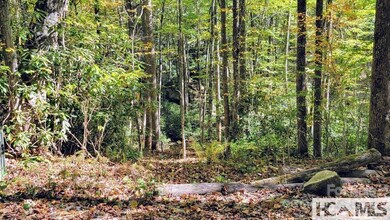 117 Speckled Feather Pass, Sapphire, NC 28774 - photo 7