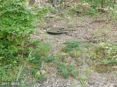 0 Nicholson Dr unit 1000407889, Colonial Beach, VA 22443 - photo 4