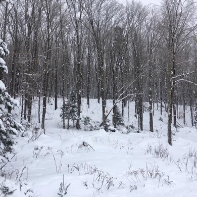 Lot 42-43 Daniel Beard Rd, Pittsburg, NH 03592 - photo 4