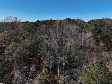 01 Blair Rd, Laurens, SC 29360 - photo 7