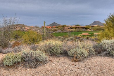 Cinder Cone 13