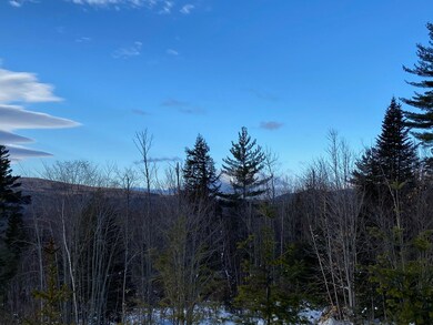 Lot 3-2 Thoreau Rd, Hanover, ME 04237 - photo 4
