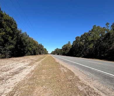 0001 NE 349 Hwy, Old Town, FL 32680 - photo 6