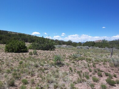 788 Highway 165, Placitas, NM 87043 - photo 4