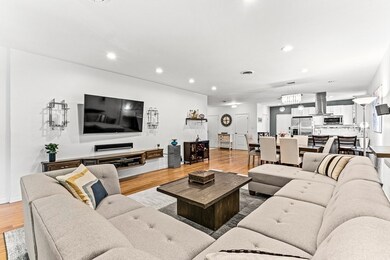 209 Commonwealth Ave unit PD, Chestnut Hill, MA 02467 - photo 6